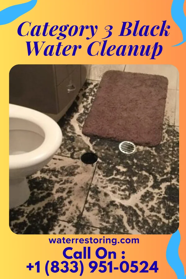 Category 3 Black Water Cleanup in Home Gardens, CA